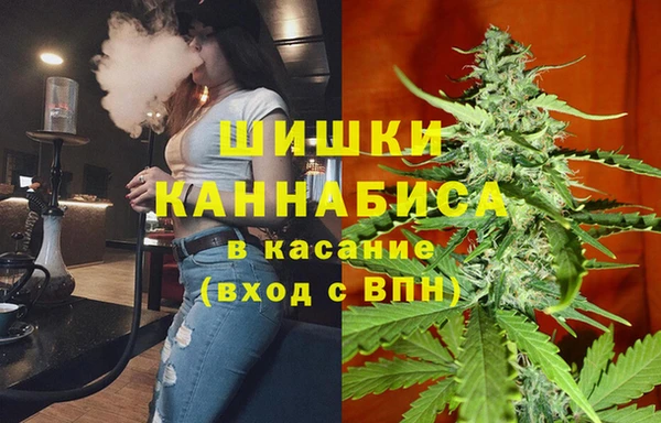 дмт Абаза