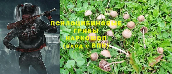 дмт Абаза