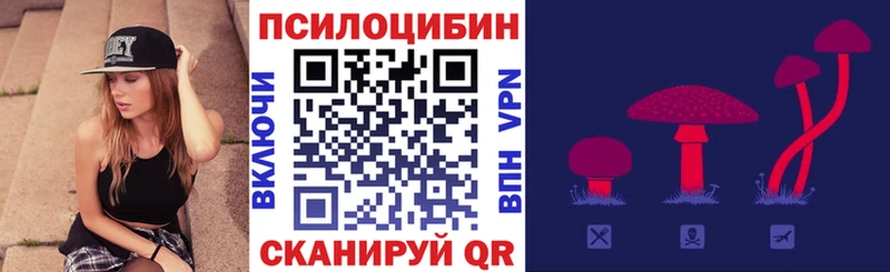 Галлюциногенные грибы Cubensis  купить закладку  Серафимович 